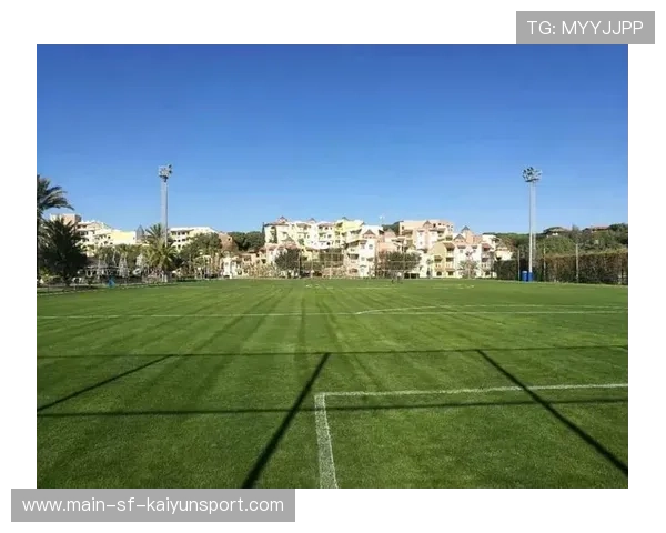 职业俱乐部是否为球员提供赛季前心理调适服务，职业俱乐部梯队