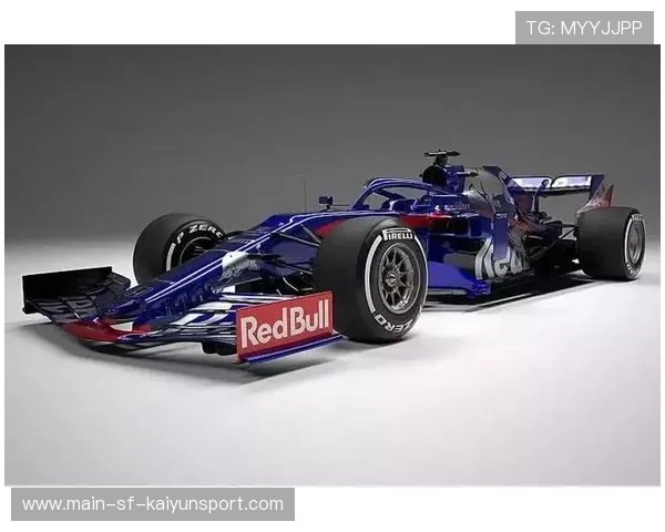 一级方程式车手在复杂赛道中寻找最佳线路的逻辑（338 ）